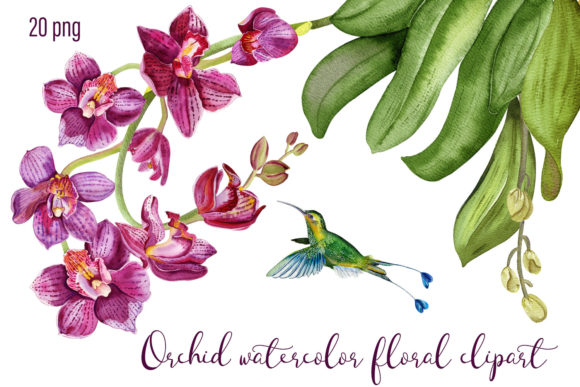 Download Orchid Watercolor Floral Digital Clipart - Digital clipart Collection