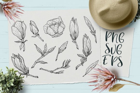 Download Magnolia Hand-drawn Vector Graphics SVG, - Vector graphics Collection